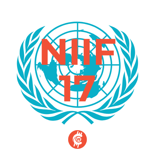 NIIF 17