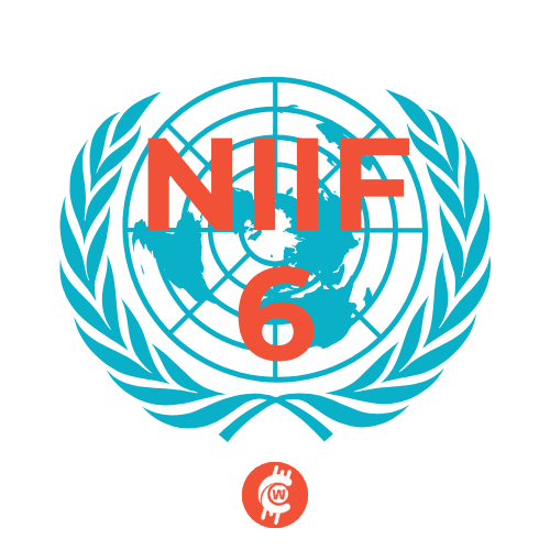 NIIF 6