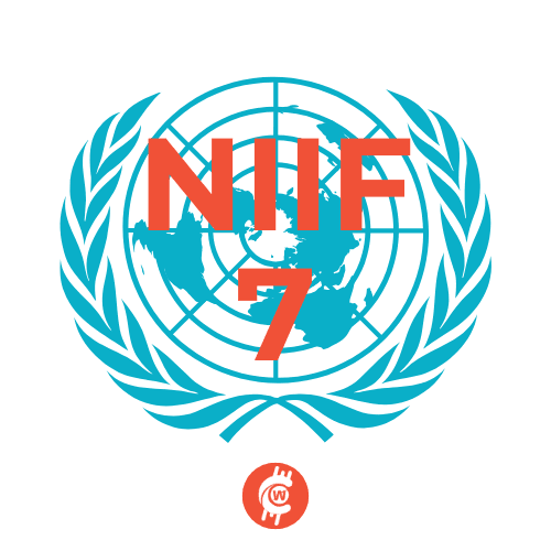 NIIF 7