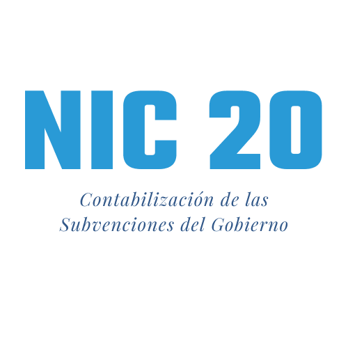 Contabilización de las subvenciones del gobierno