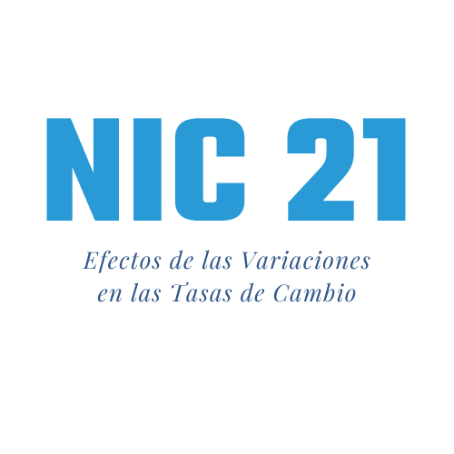 Efectos de las variaciones en los tipos de cambio de la moneda extranjera