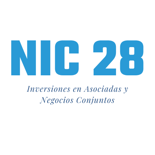 Inversiones en asociadas y negocios conjuntos